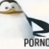 Александр Ветушко