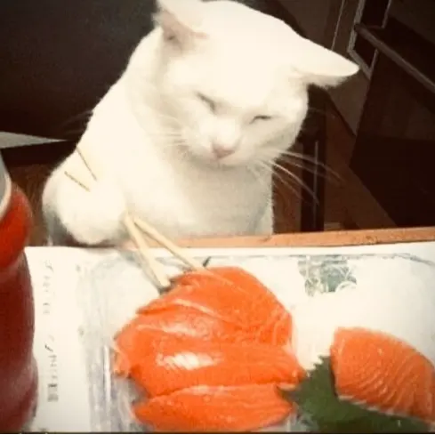 Seryluvs.sashimi