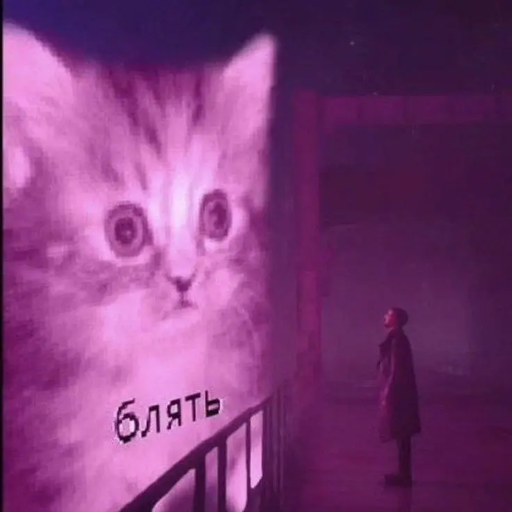 Гордон Фриман